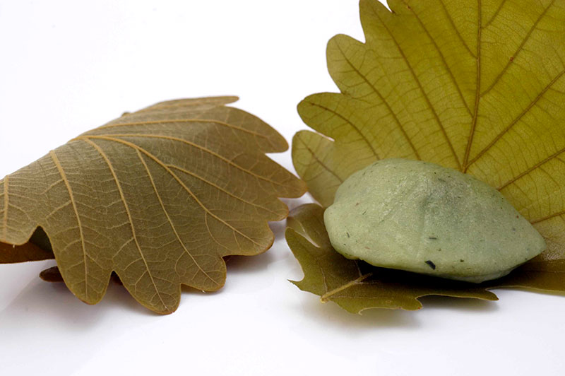 柏餅つぶしあん